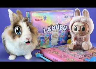  БОЛЬШАЯ распаковка ЛАБУБУ СЕКРЕТНАЯ LABUBU Back To School