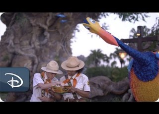  Sightings Of Kevin From Disney Pixar S Up Reported At Disney S Animal Kingdom