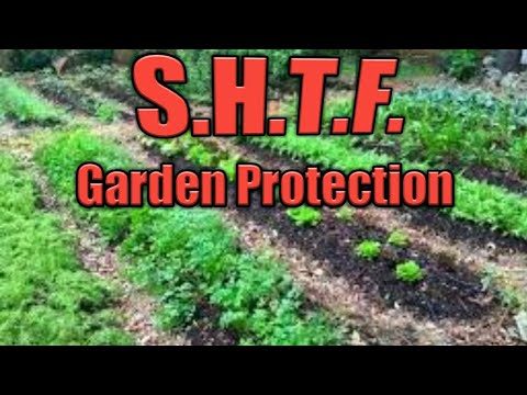 Security During SHTF