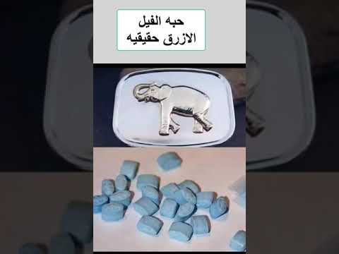 حبه الفيل الازرق حقيقيه