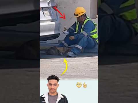 في زحام قاس آثر جائع ا بلقمته فكتب الله له أجر ا عظيم ا من حيث لا يحتسب Youtubeshorts Shorts