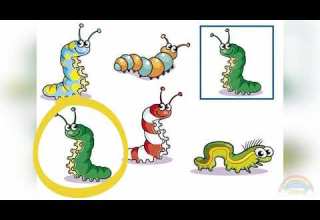 ЗНАЙДИ ПАРУ Дидактична гра