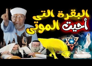 شاهد معجزة بقرة بنى إسرائيل التى أحيت الموتى بزمن سيدنا موسى سورة البقرة الشيخ الشعراوي