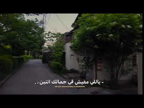 قولي الاقي انا زيك فين بدون موسيقى