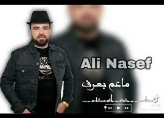  علي ناصيف حالات وتس اب Ali Nassefhalatwetsab