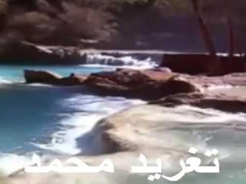 د عمر الجزلى اوتار الليل تغريد محمد