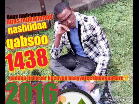 Anas Muhammad Nashiidaa Qabsoo Ballichaas Mataa Dhahi