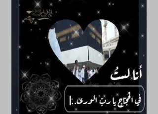 أنا لست في الحجاج يارب الورى