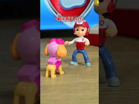 Paw Patrol Sky Is On The Move Solve The Problem With A Bang Takara Tomy Official
