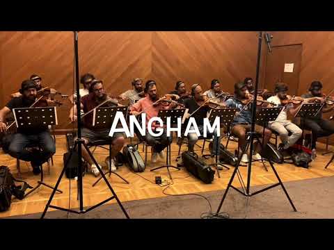 تسجيل وتريات أغنية بتوصفني بتكسفني أنغام تسجيل وتريات أغنية بتوصفني بتكسفني أنغام