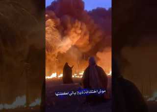 وينك يانور العين