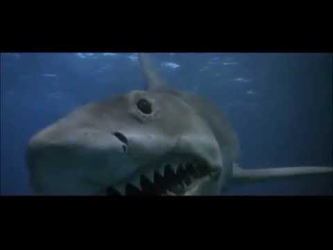 JAWS THE REVENGE 1987 Score Restore 5 Michael Attacked By Shark Michael Small