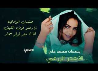 بسمات محمد علي الاخدر الزرعي New 2021 اغاني سودانية 2021