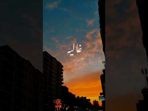 مع الايام رامي صبري