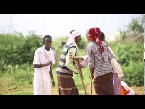 ALI DHAANTO CALI DHAANTO DHAANTO CUSUB TIMO SADARALEY