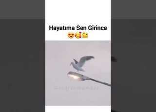 Hayatıma Sen Girince