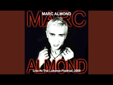 Jacky Live At Lokerse Festival 2000