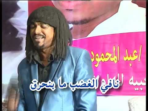 محمد حسن الماحي يانور