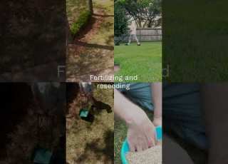  Insider Fall Maintenance Sure Fire Ways To Thoroughly Prepare For Winter Homemaintenance
