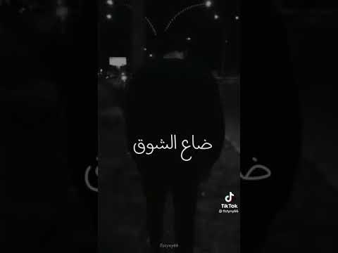 كنت ليل ابكي عغيابك