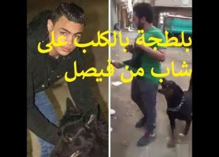  التحقيق مع سيد سيكا صاحب فيديو الكلب بفيصل