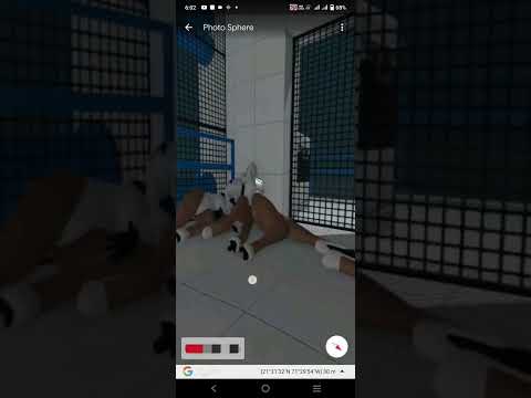 Haydee On Google Earth Part 19 Shorts Trending Viralshorts Viral Shrots