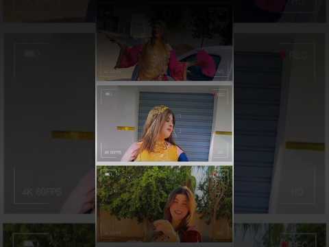 نصفڨله بيديا Nsafgla Biday