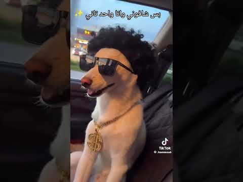 ويعيبوا فيه بتوع امبارح مشفونيش وأنا يعانى
