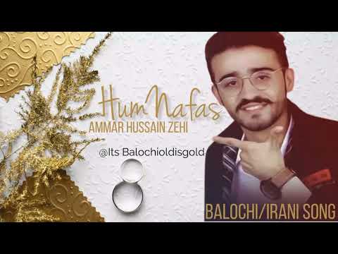 Hamnafas Ammar Hossein Zehi New Balochi Song New Balochi Song Balochioldisgold 2023