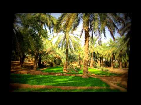 Bandari Che Konom احمد خزائی