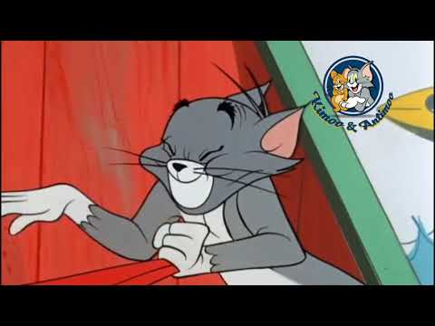 خمسة سنتي شارموفرز