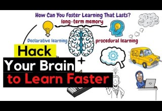 Learn Like A Pro By Barbara Oakley Olav Schewe Complete Book Summary