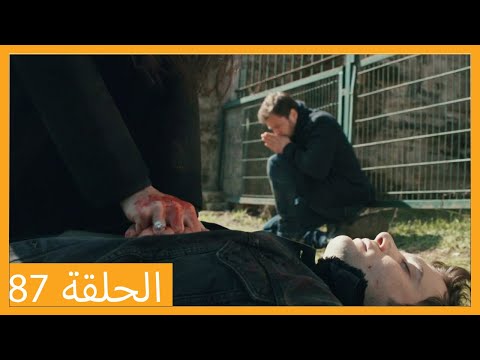 الحلقة 87 علي رضا HD دبلجة عربية