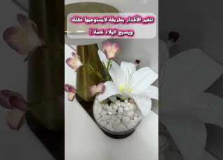 سيذهلك التدبير وكيف تتغير الأقدار بسبب دعاء لاتفرط فيه
