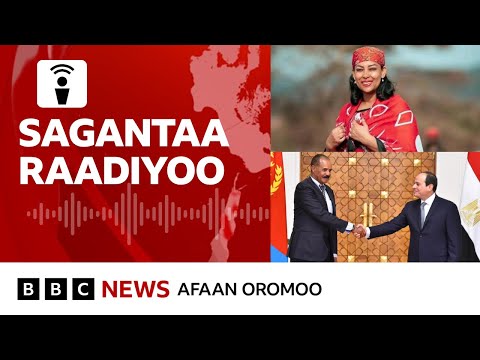 Muddama Itoophiyaafi Ertiraa Marmaarsa Isaayyaas Gara Masrii Itti Fufe BBC News Afaan Oromoo