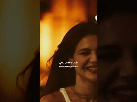 علي الضحكاية هاني شاكر