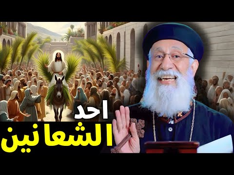 اجمل تأمل هتسمعه في احد الشعانين بداية اسبوع الالام ابونا ارميا بولس