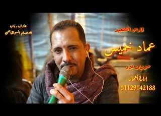 فارس الصعيد وابو حسام