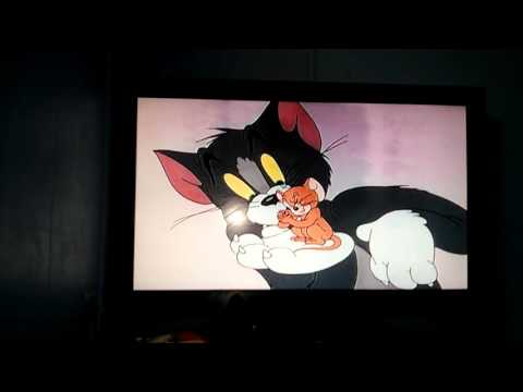 Tom And Jerry Fandubs Mouse Troubles Tom And Jerry Fandubs Mouse Troubles