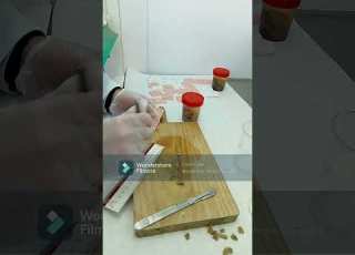 Realización Del Tallado Preparación Del Casete Y Confección De Bloques De Parafina