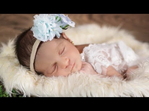 Mohammed Bashar Mariam محمد بشار مريم