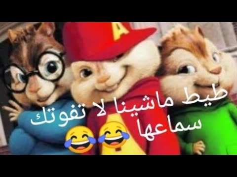 طيط طيط ماشينة بصوت السناجب شوفو التحدي الجديد Bara3im Thugs
