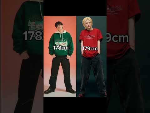 Changbin Is The Tallest Member Of Skz Straykids Skz Kpop Lol Boy Fyp Stay Funny Shorts