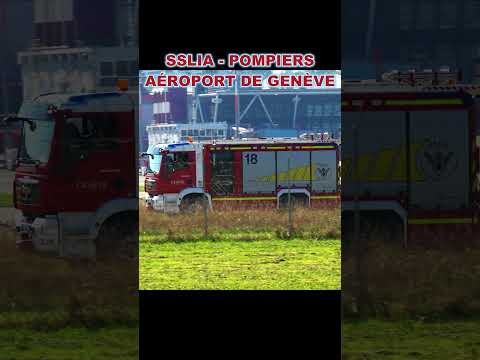 Fourgon Du SSLIA Des Pompiers De Genève Aéroport Firetruck Firefighter Genève