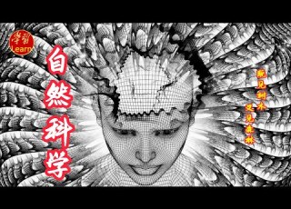  自然科学 第一讲 理想国 导读 我们看到的一切都是真实的吗