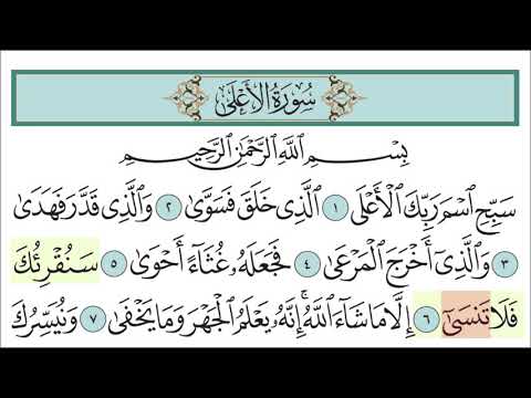 سورة الأعلى للأطفال مع تتبع الكلمات المصحف المعلم لخليفة الطنيجي Surah Al A La