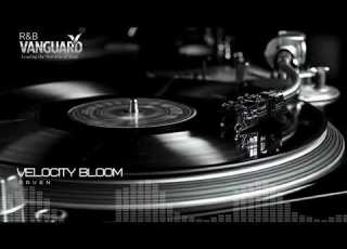 Velocity Bloom By Raven Nu Disco Meets Deep House Anthem