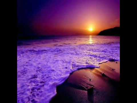 أوتار الليل محمد وفيق