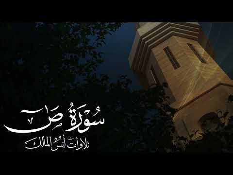 تلاوة سورة ص للقارئ أنس المالك من ليالي رمضان لعام ١٤٤٤