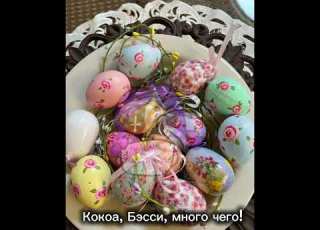Elbruto Rge Elbruso Pyf